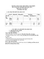 de cuong hk2 mon van lop 11 