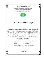BƯỚC ĐẦU NGHIÊN CỨU TỔNG HỢP HẠT NANO OXÍT SẮT TỪ (Fe3O4) BẰNG PHƯƠNG PHÁP NHIỆT PHÂN TIỀN CHẤT Fe(OH)3 TRONG ETHANOL TUYỆT ĐỐI VÀ ỨNG DỤNG THỬ NGHIỆM CỐ ĐỊNH ENZYME TRYPSIN TRÊN BỀ MẶT HẠT NANO Fe3O4 QUA CẦU NỐI APESGLUTARALDEHYDE