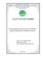 SẢN XUẤT HOA LILY (Lilium sp.) CẮT CÀNH BẰNG PHƯƠNG PHÁP THỦY CANH TRÊN CƠ CHẤT