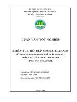 NGHIÊN CỨU SỰ THỦY PHÂN ENZYME COLLAGENASE TỪ VI KHUẨN Bacilus subtilis TRÊN CÁC CƠ CHẤT KHÁC NHAU VÀ TINH SẠCH ENZYME BẰNG SẮC KÝ LỌC GEL