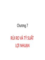 Slide bài giảng Quản trị tài chính: chương 7: Rủi ro và tỷ suất lợi nhuận