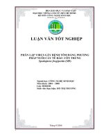 PHÂN LẬP VIRUS GÂY BỆNH TÔM BẰNG PHƯƠNG PHÁP NUÔI CẤY TẾ BÀO CÔN TRÙNG Spodoptera frugiperda (Sf9)