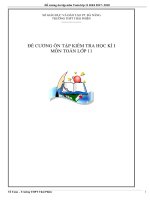 ĐỀ CƯƠNG TOÁN 11 HK i 