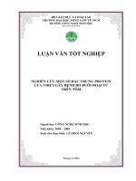 NGHIÊN CỨU MỘT SỐ ĐẶC TRƯNG PROTEIN CỦA VIRUS GÂY BỆNH ĐỎ ĐUÔI HOẠI TỬ TRÊN TÔM