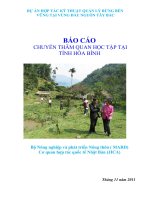 BÁO CÁO CHUYẾN THĂM QUAN HỌC TẬP TẠI TỈNH HÒA BÌNH - DỰ ÁN HỢP TÁC KỸ THUẬT QUẢN LÝ RỪNG BỀN VỮNG TẠI VÙNG ĐẦU NGUỒN TÂY BẮC