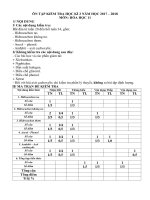 huong dan on tap hoa hoc 11 hkii 2017 2018 