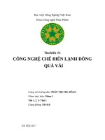 CÔNG NGHỆ CHẾ BIẾN LẠNH ĐÔNG QUẢ vải 