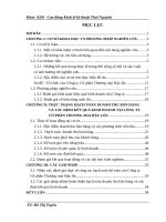 Hoàn thiện hạch toán doanh thu bán hàng và xác định kết quả kinh doanh, tại Công ty Cổ phần Thương mại Hậu LộcThanh Hoá