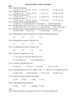 anken akin anken tuyet 