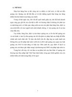 Phân tích quy định của pháp luật Việt Nam hiện hành về quảng cáo thương mại