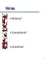 Viên bao Bào chế 2 Đại học Y Dược TpHCM