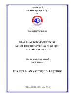 Pháp luật về bảo vệ quyền lợi người tiêu dùng trong giao dịch thương mại điện tử  (tt) 