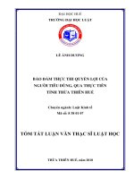 Bảo đảm thực thi quyền lợi của người tiêu dùng, qua thực tiễn tại tỉnh thừa thiên huế (tt) 