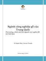Ngành công nghiệp gỗ của Trung Quốc - Thị trường, chính sách tài nguyên và ý nghĩa đối với Việt Nam