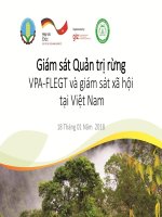 Giám sát Quản trị rừng VPA-FLEGT và giám sát xã hội tại Việt Nam