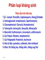 bài giảng SX betalactam