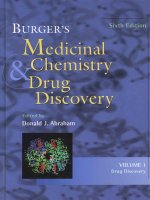 Burgers medicinal chemistry and drug discovery vol 1   drug discovery 