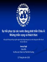 Sự hồi phục tại các nước đang phát triển Châu Á: Những triển vọng và thách thức