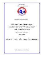 Các điều kiện có hiệu lực của hợp đồng thương mại theo pháp luật việt nam (tt) 