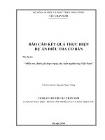 Dự án Điều tra, đánh giá thực trạng sản xuất ngành ong Việt Nam