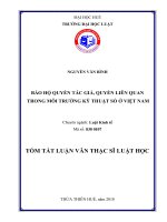 Bảo hộ quyền tác giả và quyền liên quan trong môi trường kỹ thuật số ở việt nam (tt) 
