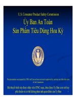 Đạo Luật Cải Thiện An Toàn Sản Phẩm Tiêu Dùng năm 2008 (“CPSIA”)