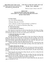 BÁO CÁO THÀNH TÍCH ĐỀ NGHỊ TẶNG THƯỞNG GIẤY KHEN CỦA BAN CHẤP HÀNH HỘI NÔNG DÂN HUYỆN THÁP MƯỜI