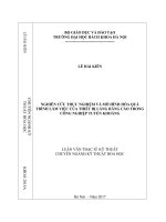 Nghiên cứu thực nghiệm và mô hình hóa quá trình làm việc của thiết bị lắng răng cào trong công nghiệp tuyển khoáng 