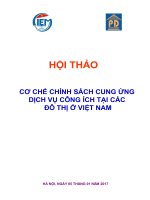HỘI THẢO CƠ CHẾ CHÍNH SÁCH CUNG ỨNG DỊCH VỤ CÔNG ÍCH TẠI CÁC ĐÔ THỊ Ở VIỆT NAM