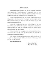 Giải pháp giải quyết việc làm cho lao động bị thu hồi đất nông nghiệp để xây dựng các khu công nghiệp trên địa bàn huyện Văn Lâm tỉnh Hưng Yên