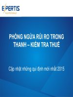 PHÕNG NGỪA RỦI RO TRONG THANH – KIỂM TRA THUẾ
