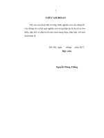 Hoàn thiện quản lý nguồn nhân lực tại Công ty TNHH Một thành viên Xây dựng và Sản xuất VLXD Biên Hòa