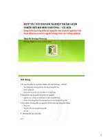 HỢP TÁC VỚI DOANH NGHIỆP NHẰM GIẢM THIỂU RỦI RO MÔI TRƯỜNG – XÃ HỘI: Sáng kiến hướng dẫn tự nguyện cho Doanh nghiệp Việt Nam đầu tư ra nước ngoài trong lĩnh vực nông nghiệp