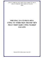 PHƯƠNG ÁN CỔ PHẦN HÓA CÔNG TY TNHH MỘT THÀNH VIÊN PHÁT TRIỂN KHU CÔNG NGHIỆP SÀI GÒN