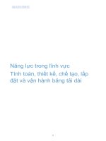 Năng lực trong lĩnh vực Tính toán, thiết kế, chế tạo, lắp đặt và vận hành băng tải dài