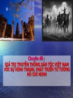 BÀI GIẢNG ĐIỆN TỬ  GIÁ TRỊ TRUYỀN THỐNG CỦA DÂN TỘC ĐỐI VỚI SỰ HÌNH THÀNH VÀ PHÁT TRIỂN TƯ TƯỞNG HỒ CHÍ MINH