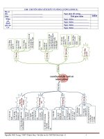 Tài liệu ôn thi THPTQG, phần sinh 11, rất hay