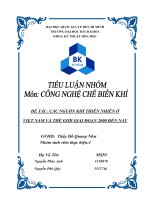 CÁC NGUỒN KHÍ THIÊN NHIÊN Ở VIỆT NAM VÀ THẾ GIỚI GIAI ĐOẠN 2000 ĐẾN NAY