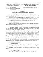 KH trồng cây hoa giấy