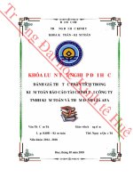 ĐÁNH GIÁ THỦ tục PHÂN TÍCH TRONG KIỂM TOÁN báo cáo tài CHÍNH tại CÔNG TY TNHH KIỂM TOÁN và THẨM ĐỊNH GIÁ AFA 
