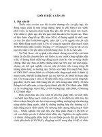 Nghiên cứu kết quả phẫu thuật bắc cầu chủ vành ở bệnh nhân hẹp ba thân động mạch vành tại trung tâm tim mạch bệnh viện E (TT)