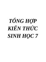 Tổng hợp kiến thức sinh học 7