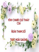BÀI GIẢNG ĐIỆN TỬ  BÀI   UYLITXO TRO VE