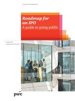 pwc roadmap for an ipo
