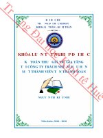 Kế toán thuế giá trị gia tăng tại công ty TNHH một thành viên tấn thanh toàn 