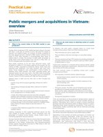 Public mergers and acquisitions in vietnam overview