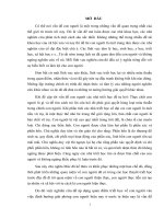 Tiểu luận: Quan điểm của triết học Mác – xít về con người – lý luận và vận dụng vào sự nghiệp đổi mới hiện nay