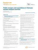 Public mergers and acquisitions in Vietnam market analysis overview