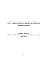 Khai thác và phát triển nguồn gen bảy lá một hoa (paris chinensis franch ) và huyết rồng lào (spatholobus suberectus dunn ) làm nguyên liệu sản xuất thuốc