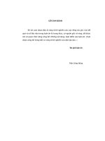 Hoàn thiện tổ chức và hoạt động của các cơ quan chính quyền địa phương ở việt nam hiện nay 